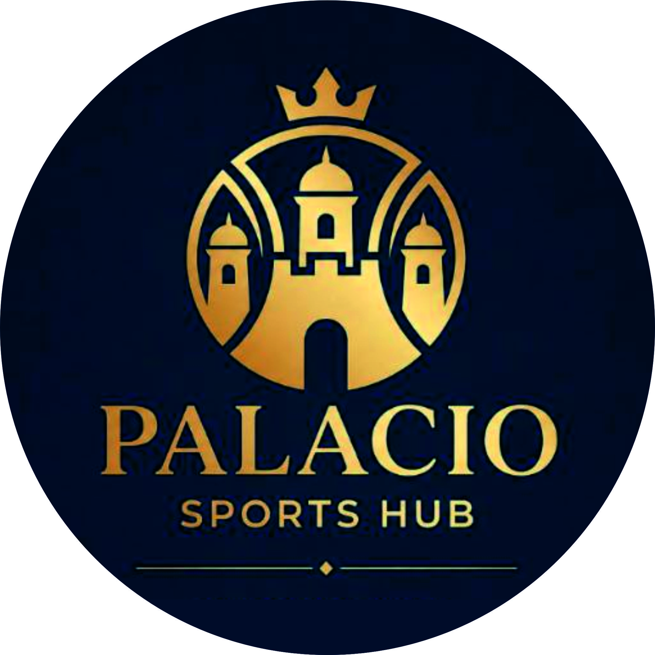 Logo de Palacio Sports Hub